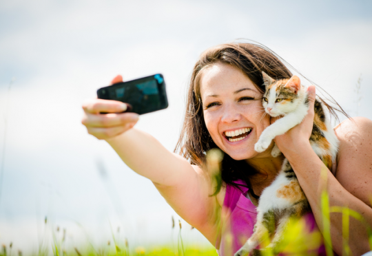 撮影した猫写真、そのまま保存するだけじゃもったいない!