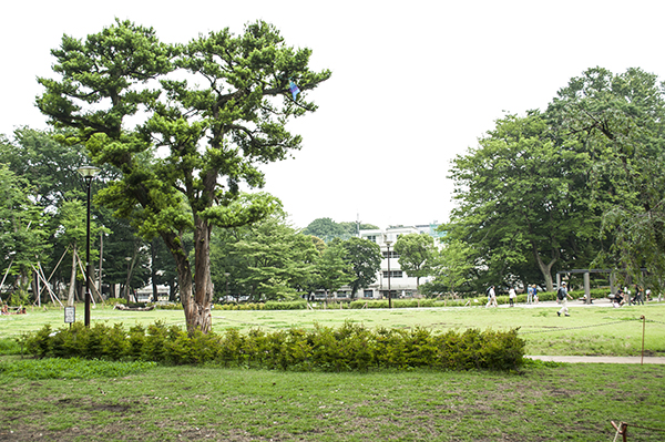 陷蜥乗d013