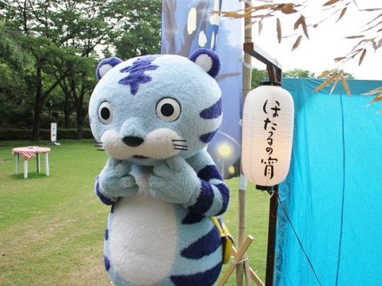 初めてのホタル観賞にイベント開始前からドキドキのチンタイガー