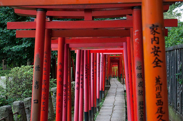 根津神社の隣にある「乙女稲荷神社」には多くの鳥居が