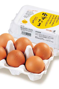 高知の特産物オススメまとめ_2