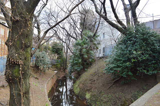 この小川も、代田橋を走る甲州街道も、だいだらぼっちの足跡の中?